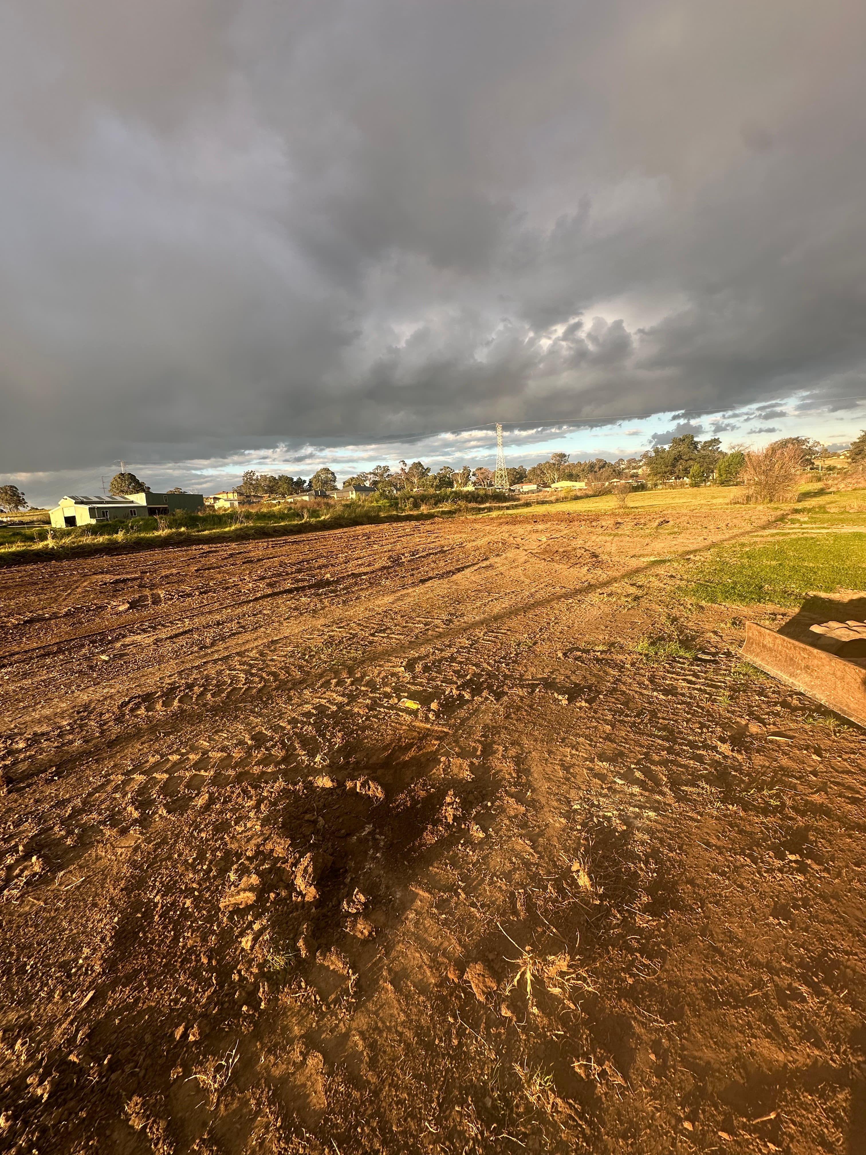 Site Clearing